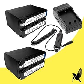 Two Halcyon 7200 mAH Lithium Ion Replacement Battery and Charger Kit for Sony NEX-EA50UH, NEX-FS100, DCR-VX2100, HDR-FX1, HDR-FX1000, HDR-FX7, HVR-HD1000, HVR-Z1, HVR-Z5, HVR-Z7, DSR-PD150, DSR-PD170, DCR-VX2000, HXR-MC2000, HXR-NX5U, XF105, XF300, XF305 Digital Camcorders