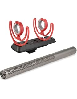 TOP (Richt-)Mikro m.Halterung 