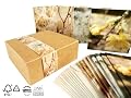 Bright Stem Stationery Spring Frost Flower Photo Art Blank Notecards Boxed Set of 12 cards 100% recycled