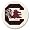 South Carolina Fighting Gamecocks