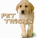  : Pet Tricks (My First Discovery Library)