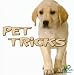 Books : Pet Tricks (My First Discovery Library)