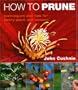 How to Prune: Techniques and Tips for Every Plant and Season
