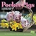 Pocket Pigs 2015 Calendar: The Famous Teacup Pigs of Pennywell Farm