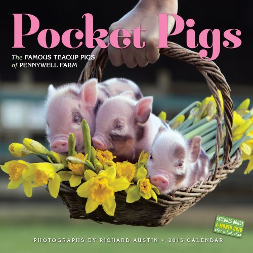 Pocket Pigs 2015 Wall Calendar: The Famous Teacup Pigs of Pennywell Farm