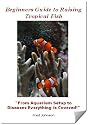 Beginners Guide to Raising Tropical Fish "From Aquarium Setup to Diseases, Everything is Covered!"