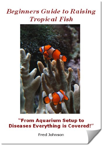 Beginners Guide to Raising Tropical Fish 