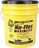 Nu-Flex Maximizer with Ester C 20 lb.
