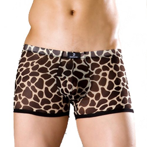 Dominik Men's Leopard Sheer Mesh Boxer Trunks