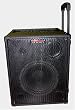 Nady RPA-4 Four Channel One Piece Portable Sound System, 100 Watts