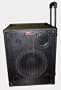 Nady RPA-4 Four Channel One Piece Portable Sound System, 100 Watts