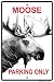 Moose Parking 10
