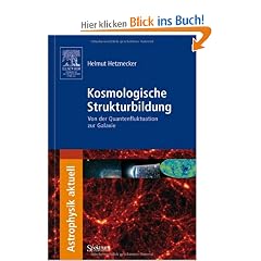 Kosmologische Strukturbildung: Von der Quantenfluktuation zur Galaxie (Astrophysik aktuell)