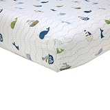 Nautica Blake Crib Sheet, Brown/Blue