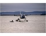 10x8 Photograph 25x20cm Lab0032 23 From Arctic Photo