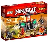 LEGO Ninjago - Le temple de la montagne - 2254 2254