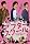 �������� [DVD]