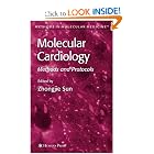 Molecular Cardiology: Methods and Protocols (Methods in Molecular Medicine) by Zhongjie Sun