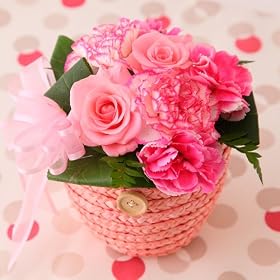 �y���������z�A�����W�����g(�j���[�L�����f�B)�y���������z�y�a�����E�L�O���E���j���E���������E�o�Y�j���E���Ԃ��M�t�g�z