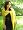 MARIGOLD YELLOW