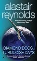 Diamond Dogs, Turquoise Days