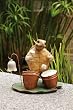 Turtle Drummer Garden Statuary Turtle Drummer Garden Statuary