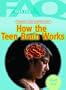 Frequently Asked Questions about How the Teen Brain Works (FAQ: Teen Life)