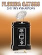 A Year for the Gators: Florida Gators: 2006 BCS National Champions