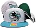 San Jose Sharks White/Teal Two Tone Wreath Plastic Snapback ...