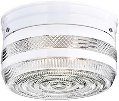 Truelite Industrial Flush Mount Ceiling Light with Glass Shade 2 Lights