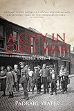 A city in civil war : Dublin, 1921-4