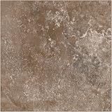 Athens 8 x 12 Ceramic Tile in Brown