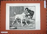 1891 Fannie Moody Fine Art Dog Cat Animals Pets Bowl
