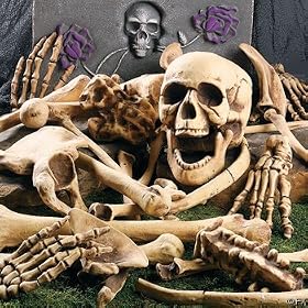 Skeleton Bones
