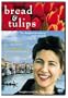 Bread and Tulips (Widescreen)