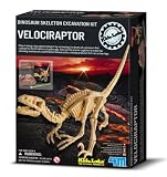 Eigenschaften 4M / Dig-A-Dino Skeleton Ausgrabungsset Velociraptor
