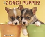 Just Corgi Puppies 2009 Calendar (Just)
