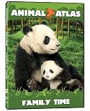 Animal Atlas: Family Time
