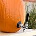 KegWorks - The Pumpkin Tap Kit