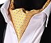 SetSense Men's Floral Jacquard Woven Self Cravat Tie Ascot