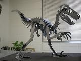 Velociraptor Dinosaur