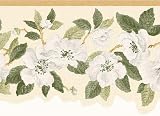 Almond Dogwood Wallpaper Border