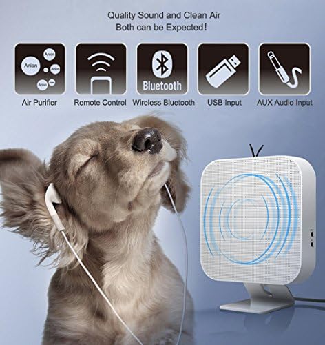 ECHLIFE Portable Wall Mounted Desktop Standing Bluetooth Speaker with Remote Control, USB Flash Disc Input and AUX Audio Input/output (With Anion Air Purifier)