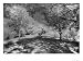 Haunted Gardens, Curry Mallet Manor, Somerset, England Places Giclee Poster Print by Simon Marsden, 32x24