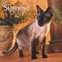 Siamese Cats 2008 Square Wall Calendar (German, French, Spanish and English Edition)