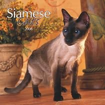 Siamese Cats 2008 Square Wall Calendar (German, French, Spanish and English Edition)