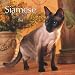   - Siamese Cats 2008 Square Wall Calendar