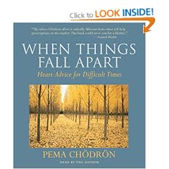 When Things Fall Apart: Heart Advice for Difficult Times