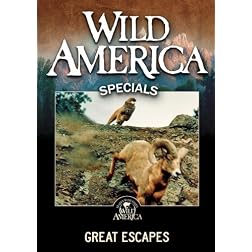 Great Escapes