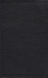 Holy Bible in Modern English